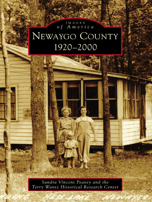Title details for Newaygo County by Sandra Vincent Peavey - Available